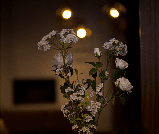 A vase of flowers in front of lights.