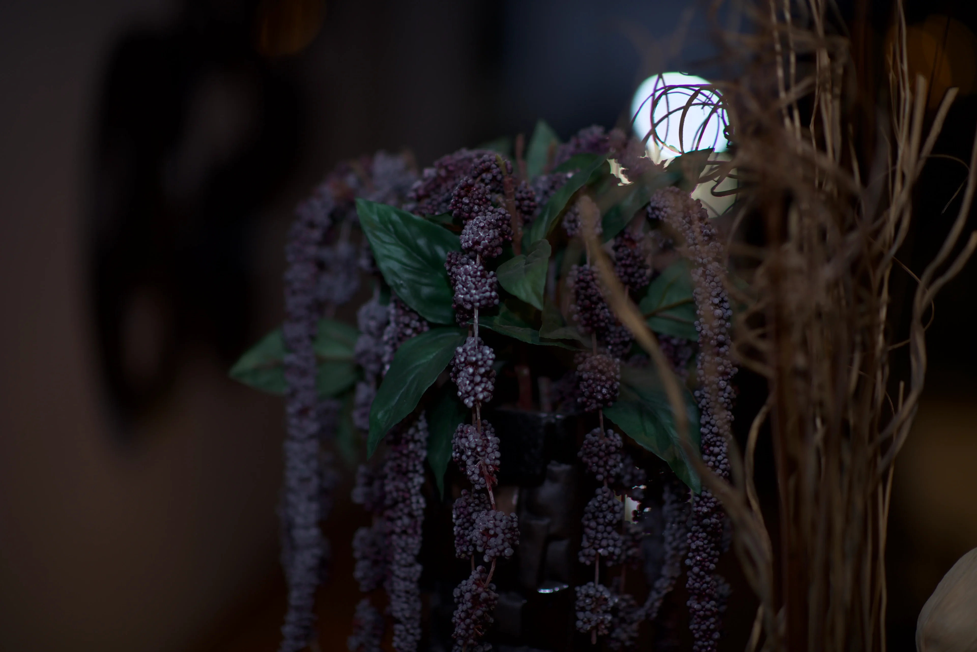 A close up of some purple flowers hanging from a tree